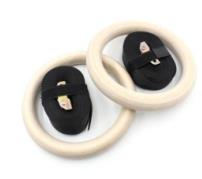 Wooden gym ring
